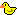 :ducky: